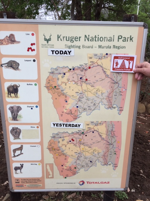 Südafrika, Krüger Nationalpark, Friesische Freiheit weltweit