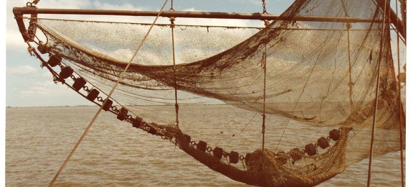 Fischernetz (Foto: Otto Lapann, Bildarchiv der Ostfriesischen Landschaft)