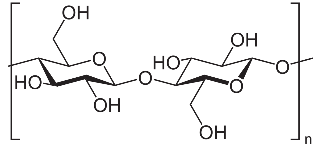 Cellulose Polymer (Bild: Wikipedia, gemeinfrei)