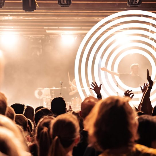 Publikum bei einem Konzert, Sänger eingekreist