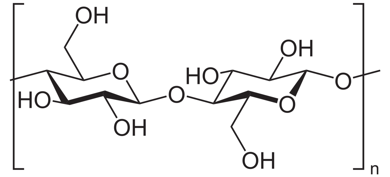 Cellulose Sesselsvg 1320x600