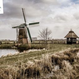 KIO Agnes Landing Page header Seite001