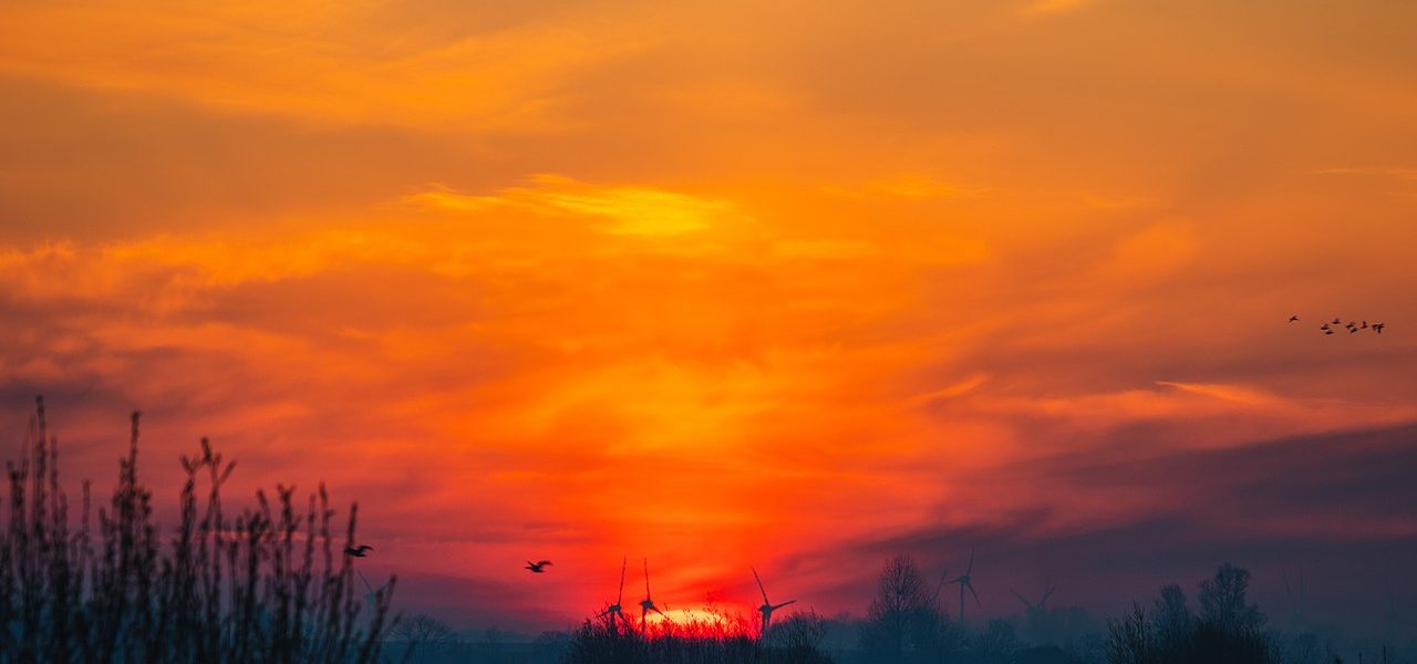 Sonnenaufgang in den Hauener Pütten im Landschaftsschutzgebiet Krummhörn (Foto: Matthias Süßen)