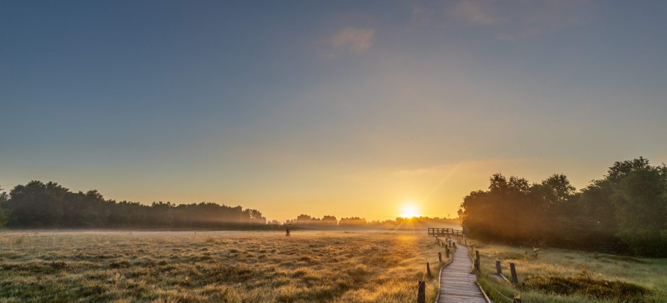 Sonnenaufgang im Nebel, Moormuseum Moordorf