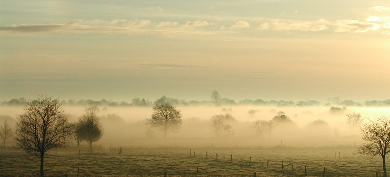 Nebel in Ostfriesland