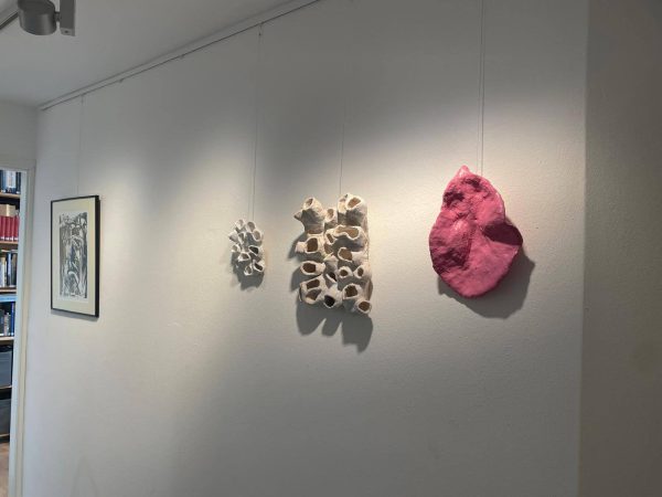 05420afc 58bd 44d9 b97f b8d6d79d7c13