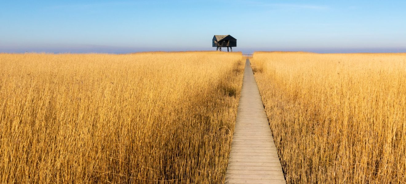 Kiekkaaste am Dollart (Foto: Matthias Süßen)