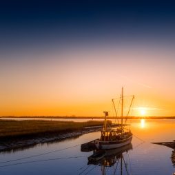 Fischkutter Terborg (Foto: Matthias Süßen)
