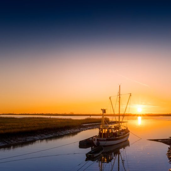 Fischkutter Terborg (Foto: Matthias Süßen)
