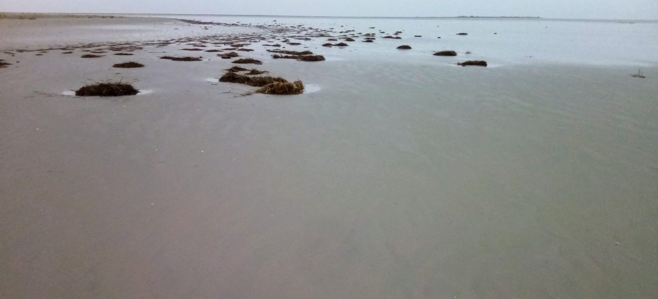 Strand von Juist (Foto: Welf-Gerrit Otto)