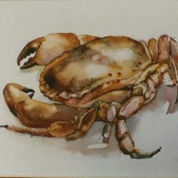 „Krebs“, Herbert Gentzsch o.J., Aquarell auf Papier, 21,5 cm x 27,3 cm, OLA 70267